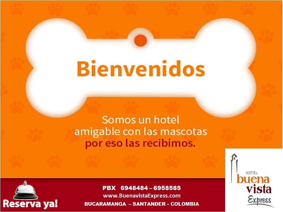 בוקארמנגה Hotel Buena Vista Express מראה חיצוני תמונה